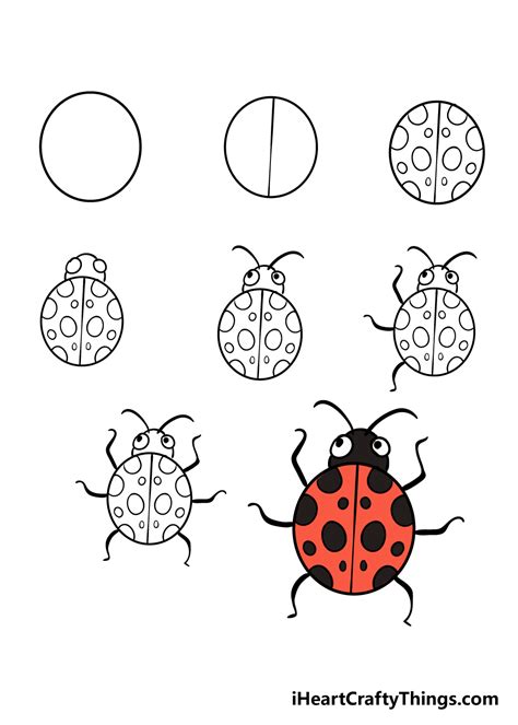 Ladybug Drawing - How To Draw A Ladybug Step By Step