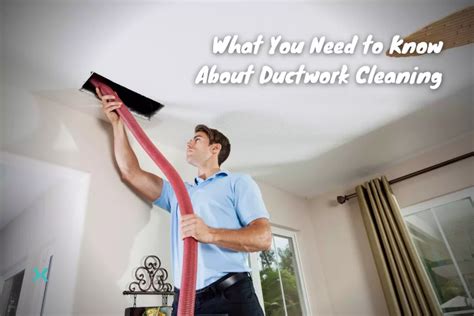 What You Need to Know About Ductwork Cleaning | Phyxter Home Services