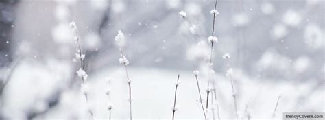 Winter Facebook Cover - TrendyCovers.com