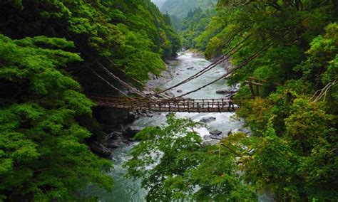 6 reasons you need to visit Shikoku island, Japan | Wanderlust ...