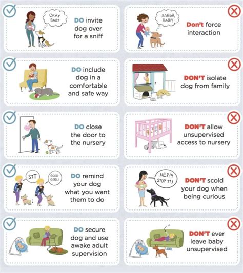 5 easy safety tips on living with dogs and babies | hellodog