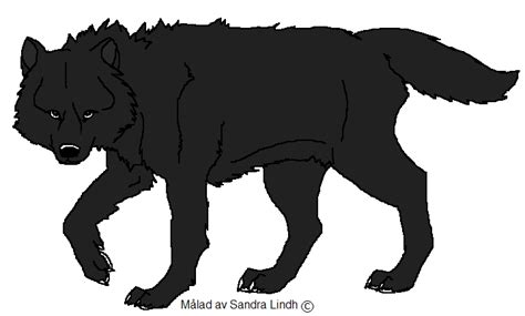 A Black Wolf by TheMysticWolf on DeviantArt