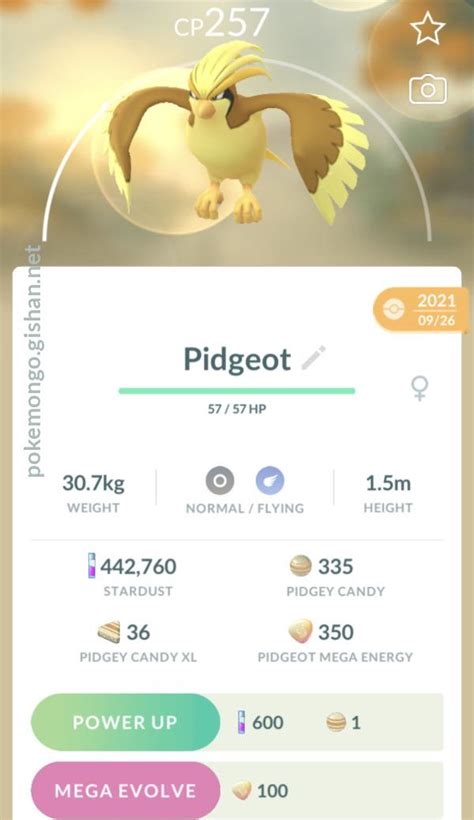 Shiny Pidgeot - Pokemon Go