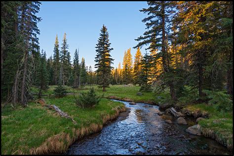 » Apache-Sitgreaves National Forest