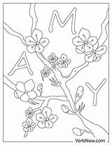 Free MAY Coloring Pages For Download Printable PDF sketch template
