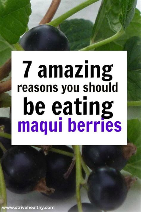 6 Benefits Of Maqui Berries On Your Health - Strive Healthy