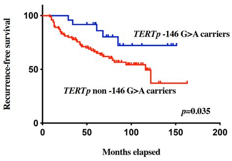 Tert promoter mutation as a potential predictive biomarker in bcg ...