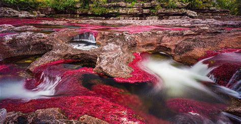 Caño Cristales River, Colombia 🇨🇴 in 2020 | Underwater plants, Liquid rainbow, Waterfall