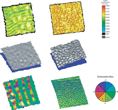 Quantifying shell patterning helps identify species of Trionychidae - Pamfilie - 2023 - The ...