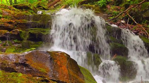 The soothing Sound of Forest Waterfall. Nature's sounds. 4K - YouTube