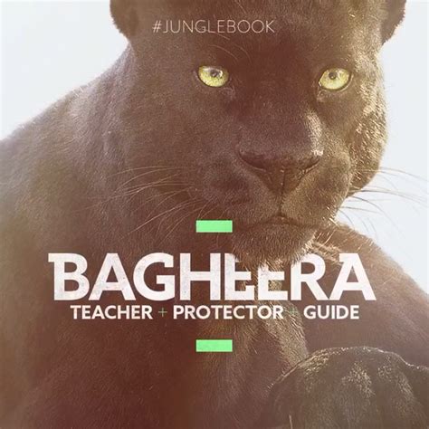 Image - Bagheera Vine Poster.jpeg | Disney Wiki | FANDOM powered by Wikia