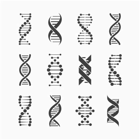 Dna Illustrations, Royalty-Free Vector Graphics & Clip Art | Dna tattoo ...