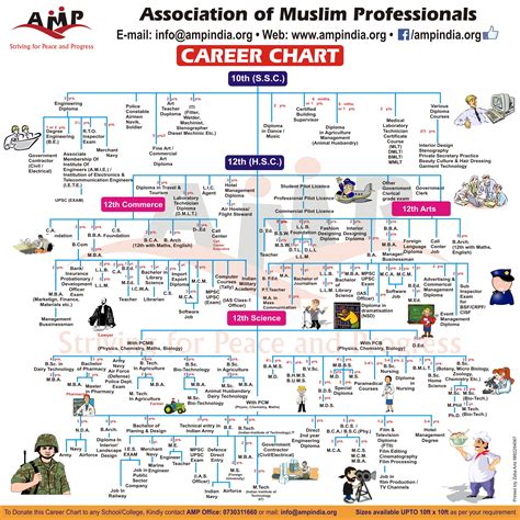 Career Chart for Students