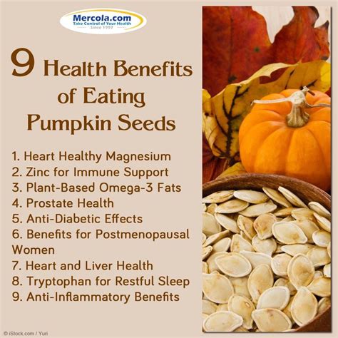 Pumpkin seeds | Health and nutrition, Nutritional supplements, Heart healthy diet