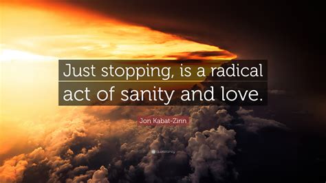 Jon Kabat-Zinn Quote: “Just stopping, is a radical act of sanity and love.”