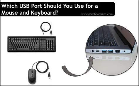 Which USB Port Should You Use for a Mouse? (Explained)