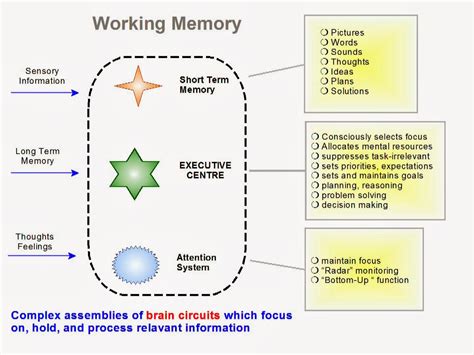 My Learning Place: Working Memory - The Learning Machinery