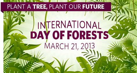 International Day of Forests | UBC Faculty of Forestry