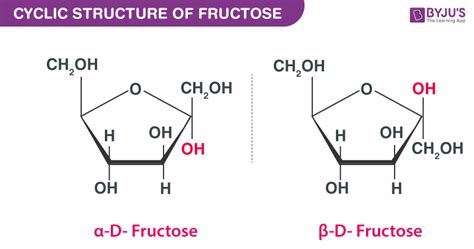 Can L Glucose Form a Closed Structure