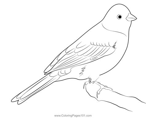 The Yellowhammer Coloring Page for Kids - Free Buntings Printable ...