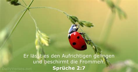 Sprüche 2:7 - Bibelvers - DailyVerses.net