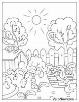 Yard Coloring Pages Boy House Garden Lawn Lds Work Leaves Mowing  sketch template