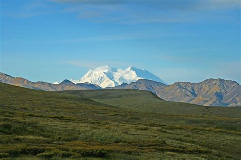 The Ultimate Guide to Camping in Denali National Park - National Park Obsessed