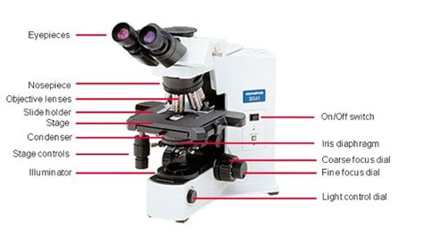 Microscope Diaphragm Iris