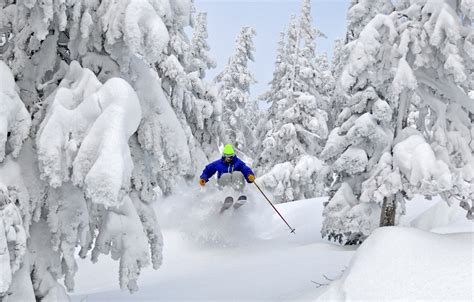 Incredible how to ski powder in trees intended for The house