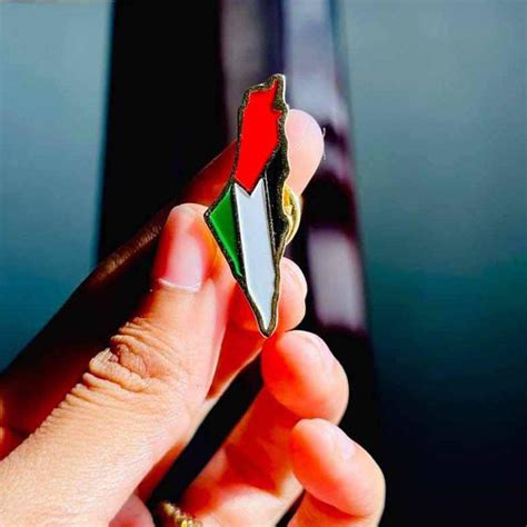 Support Palestine map Lapel pin