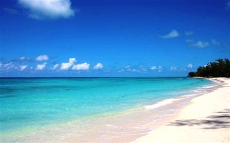 10 Top Things To Do In Bimini, Bahamas - Cheerful Trails