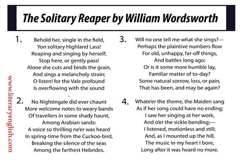 Summary & Analysis | Solitary Reaper by Wordsworth - Literary English