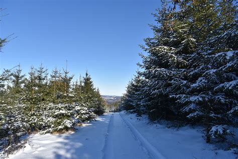 Sauerland Winter Snow - Free photo on Pixabay