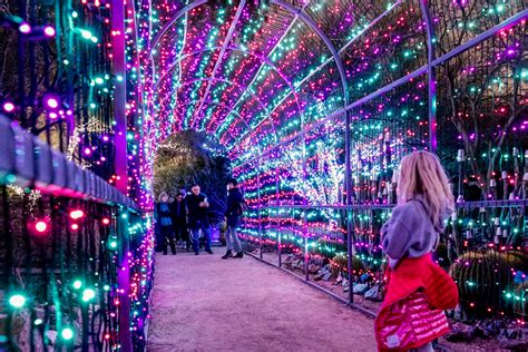 Twinkling Lights and Holiday Delights Across Arizona | Visit Arizona