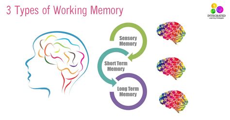 Types of Memory: Working Memory Tied to Your Child's Intelligence - Integrated Learning Strategies