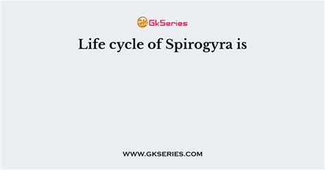 Life cycle of Spirogyra is