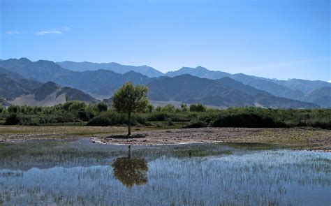 चित्र:Farming in Leh Valley, Ladakh.jpg - विकिपीडिया