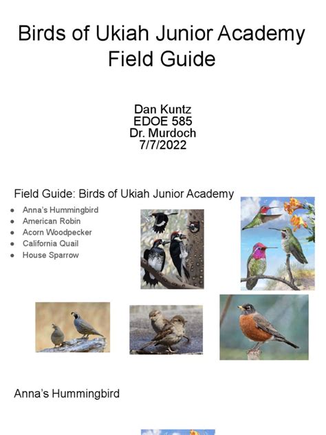 Top 5 Birds Field Guide-2 | PDF | Birds | Ornithology