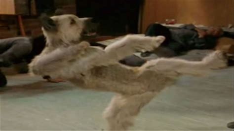 Movie Mastery – Karate Dog (2004) | System Mastery