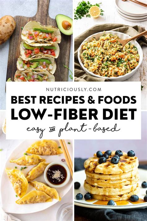 Low Fiber Dinner Recipes, Low Fiber Foods List, Vegan Recipes Easy Healthy, Diabetic Meals, High ...