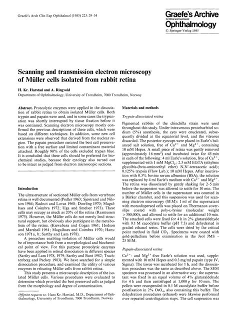 (PDF) Scanning and transmission electronmicroscopy of Müller cells ...