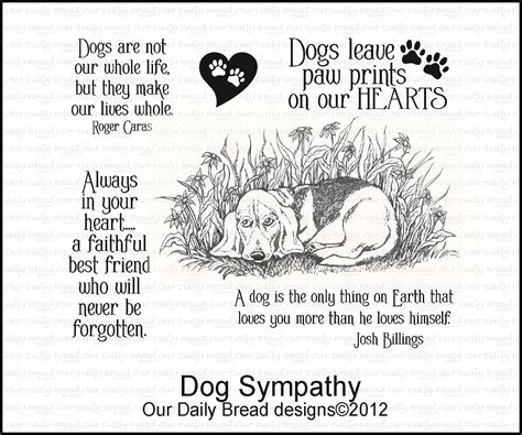 Dog Sympathy Quotes. QuotesGram