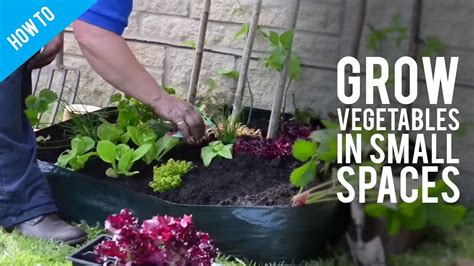 How To Make A Vegetable Garden In Small Spaces - Garden Likes