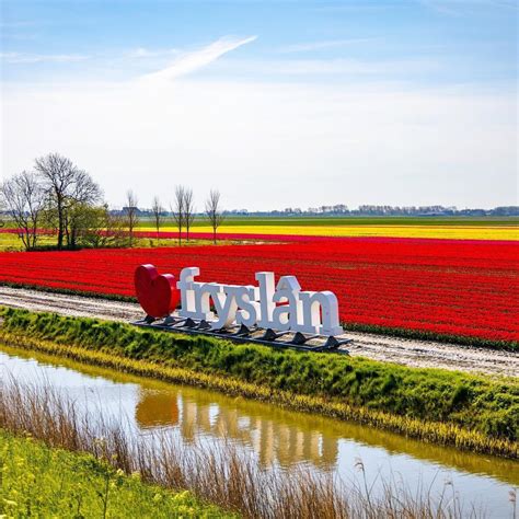 What is Frisian? - Travel Tomorrow