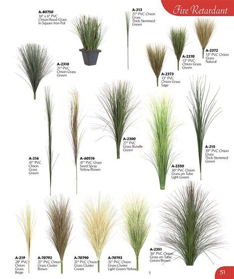 Ornamental Grass Landscape, Ornamental Grasses, Landscape Grasses, Front Porch Landscape, Garden ...