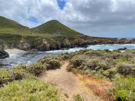 Garrapata State Park Bluff Trail near Carmel-by-the-Sea, California ...