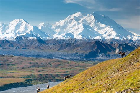 The Tallest Peak in North America: Denali National Park & Preserve ...