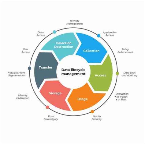 7 Phases Of Data Life Cycle Every Business Must Be Informed