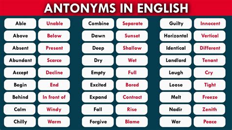 Learn 150+ Common Antonym (Opposite) Words in English to Improve Your ...