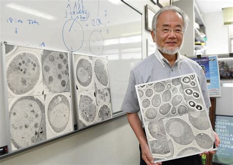 Japanese biologist awarded Nobel Prize for cell discovery that could ...